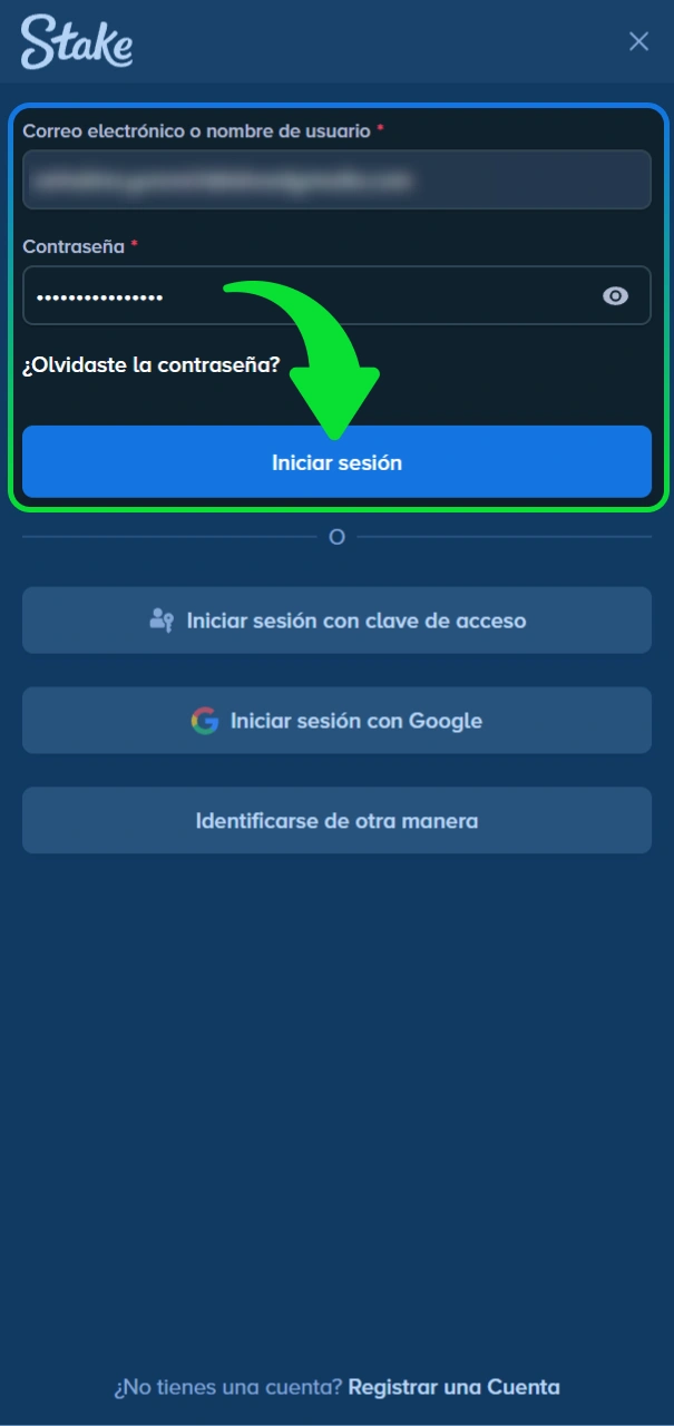 Escribe tus datos de acceso en el sitio oficial de Stake.